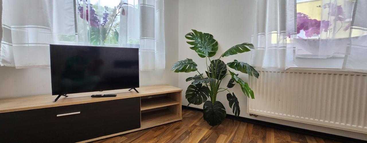 Elena Flat Orchidee Duisburg Zentrum מראה חיצוני תמונה