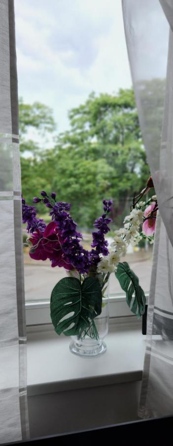 Elena Flat Orchidee Duisburg Zentrum מראה חיצוני תמונה