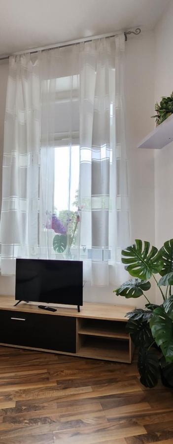 Elena Flat Orchidee Duisburg Zentrum מראה חיצוני תמונה